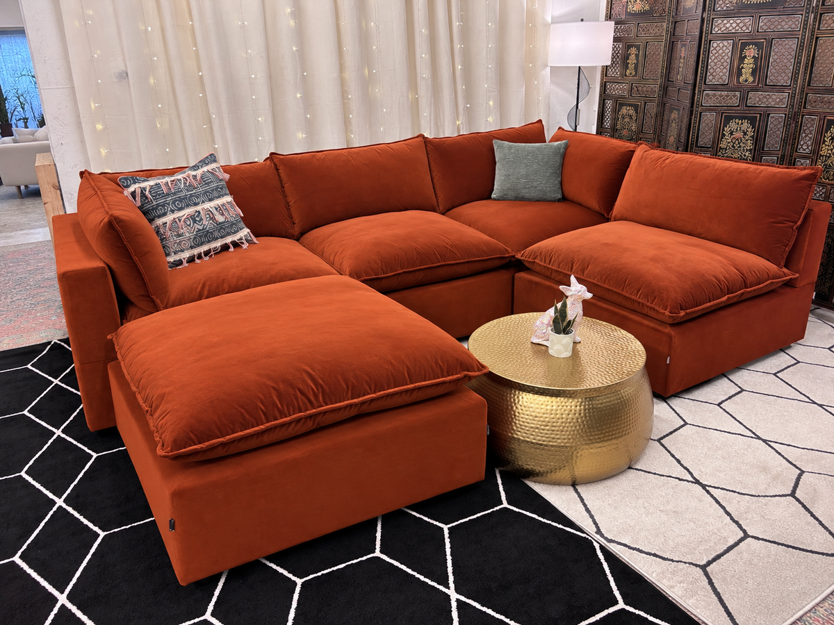 Bellamia Collection